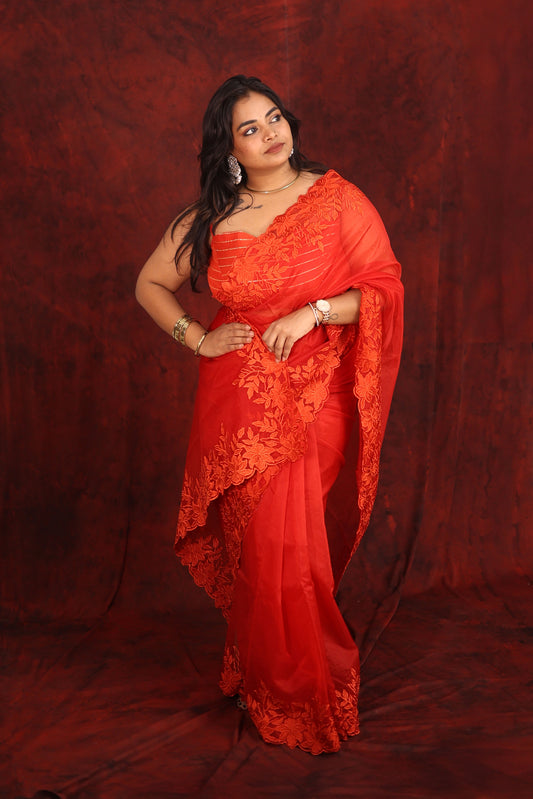 Nirvana - Organza Saree