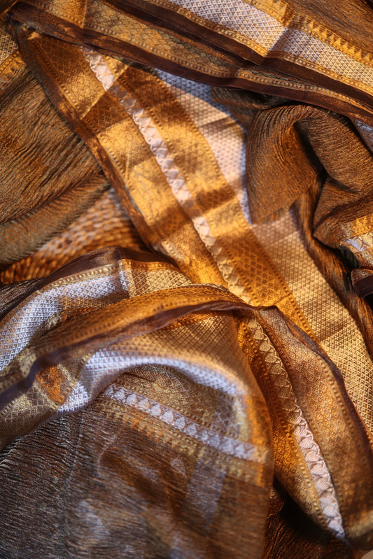 Chitrika - Pure Banarasi Tissue Silk Saree