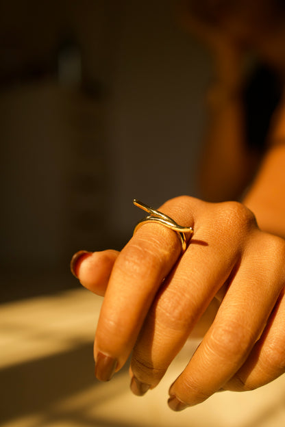 AI341 - Flow Ring