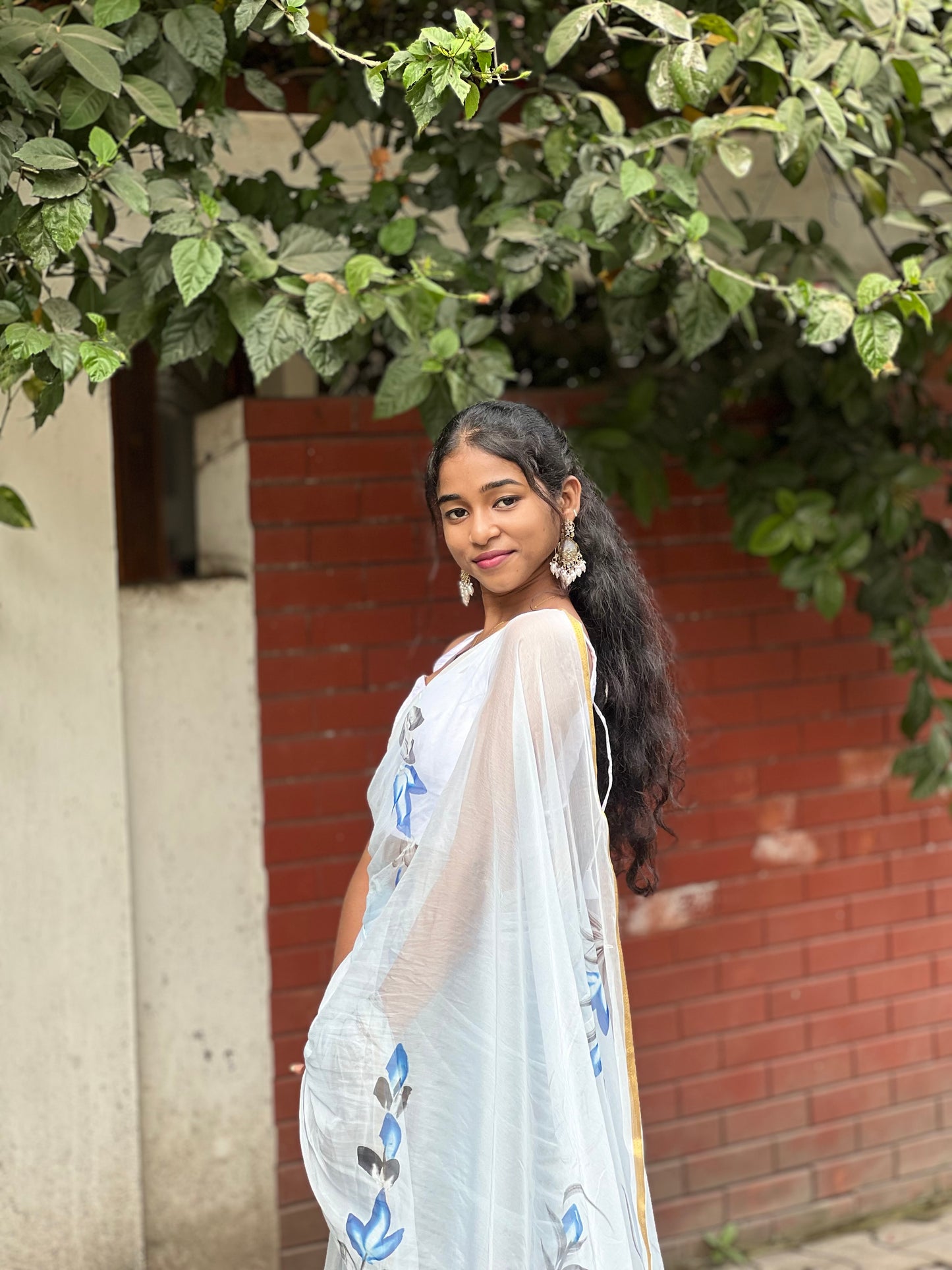 Mayura - Hand Painted Chiffon saree