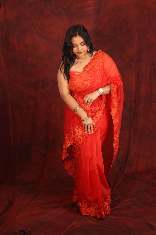 Nirvana - Organza Saree