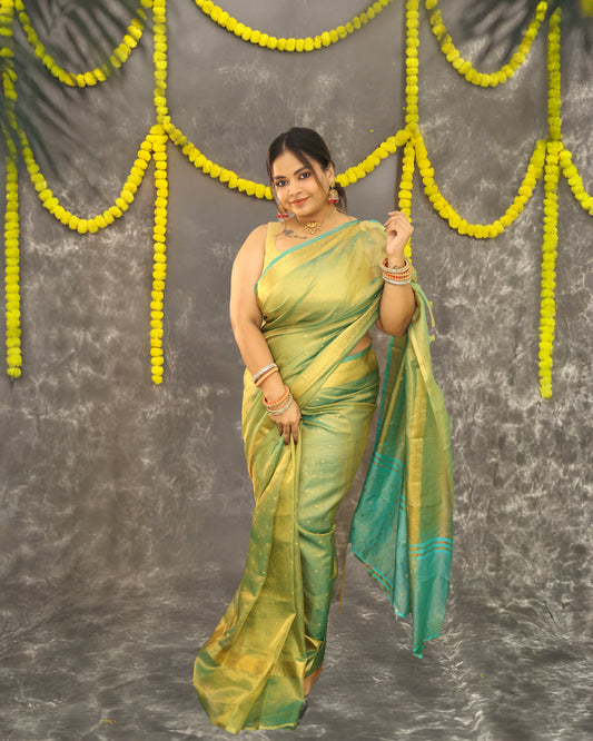 Ritu Banarasi Tissue Saree