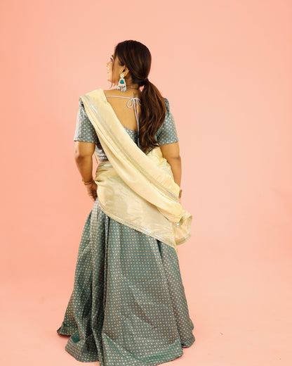 Parnika - Banarasi Tissue Silk Half Saree