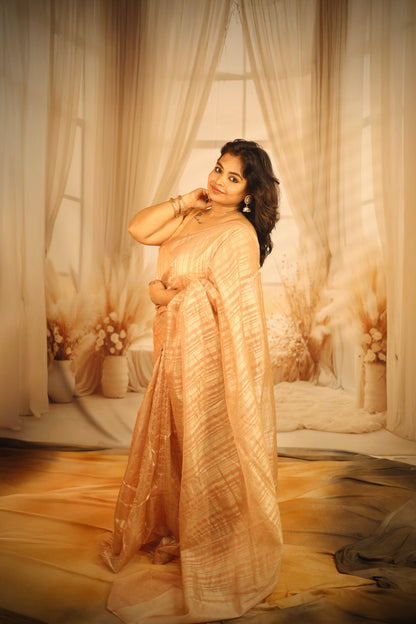 Risa - Tissue Silk Saree